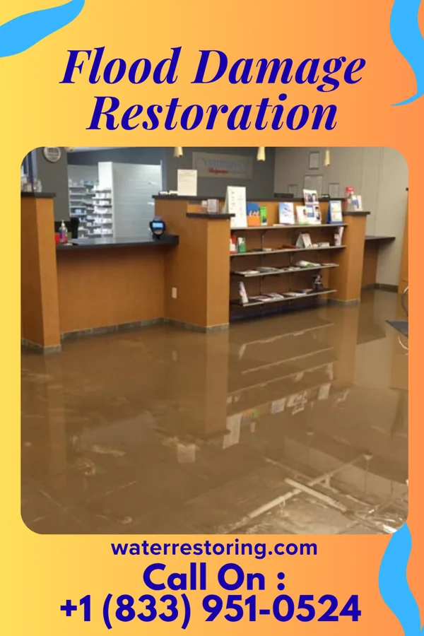 Flood Damage Restoration in Harrisburg, NC