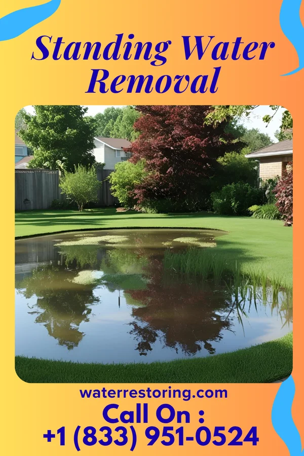 Standing Water Removal in Harrisburg, NC